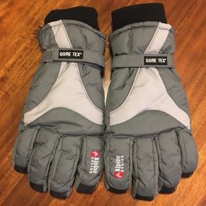 Alpine Designs Gore-Tex Gloves